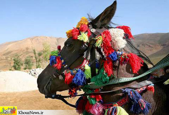 عروسی بختیاری در  پرجف بیرگان / khouznews.ir
