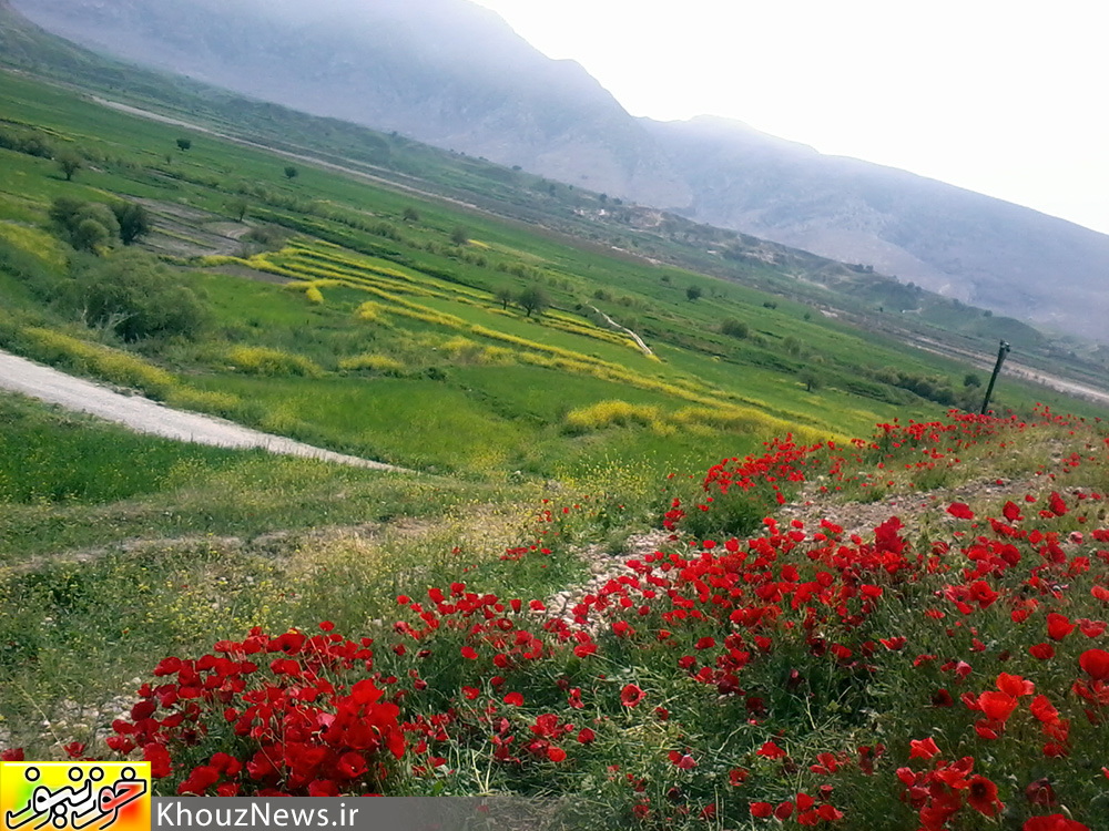 تصاویری زیبا از دشت سوسن در ایذه خوزستان