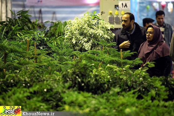 نخستین نمایشگاه گل و گیاه ، صنایع دستی و گردشگری در منطقه آزاد اروند