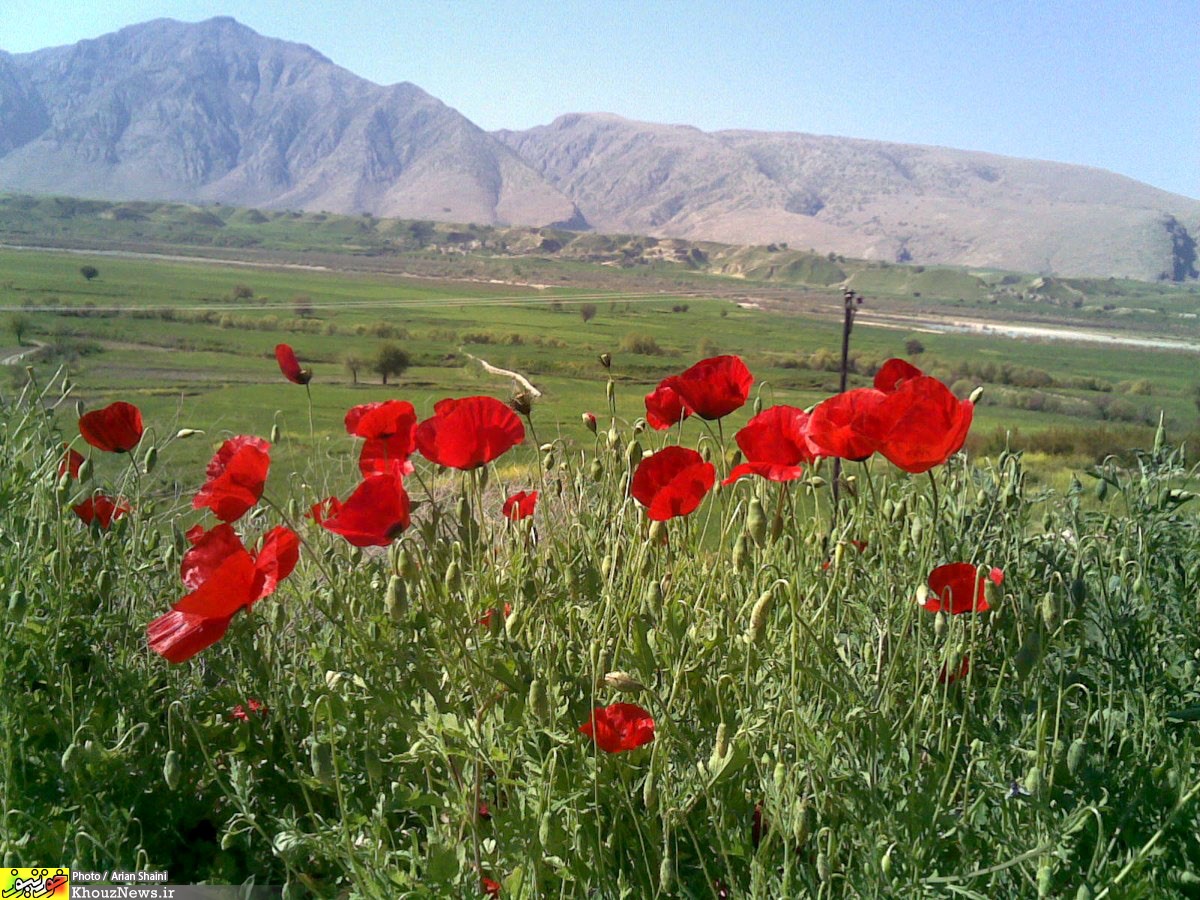 روستای زیبای ده حوض از توابع بخش سوسن شهرستان ایذه