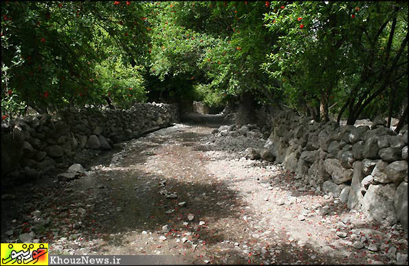 شیوند روستایی بهشتی / چند عکس زیبا از آبشار شیوند