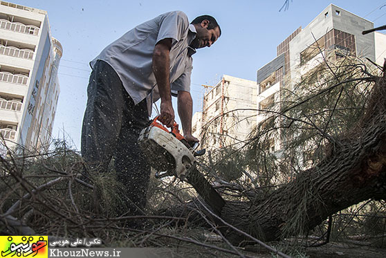 سقوط درخت بر روی خودروی سواری در اهواز