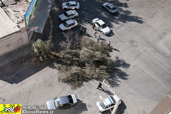 سقوط درخت بر روی خودروی سواری در اهواز