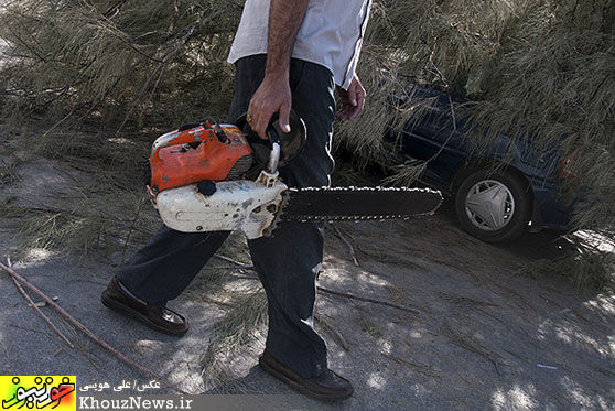 سقوط درخت بر روی خودروی سواری در اهواز