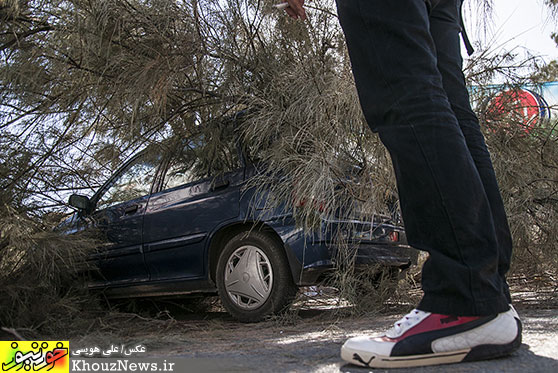 سقوط درخت بر روی خودروی سواری در اهواز