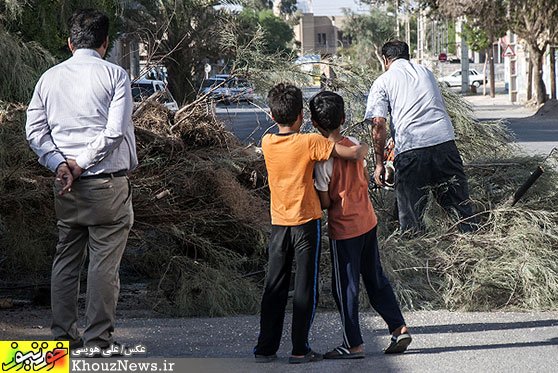 سقوط درخت بر روی خودروی سواری در اهواز