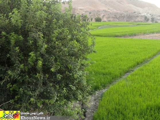 مناظر دیدنی شهرستان باغملک