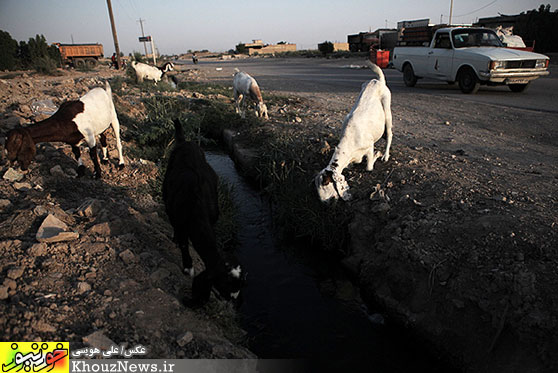 وضعیت نامناسب فاضلاب در کوت عبدا... شهرستان کارون