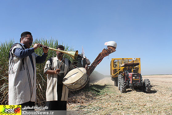 جشن برداشت نيشكر در خوزستان