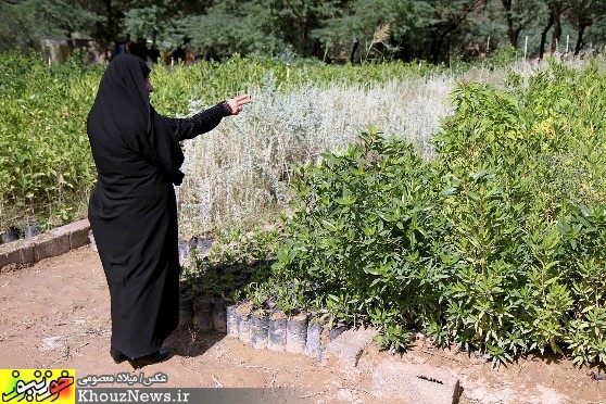 بازدید رییس و اعضای شورای شهر از نهالستان پارک شهروند اهواز