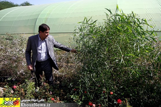 بازدید رییس و اعضای شورای شهر از نهالستان پارک شهروند اهواز