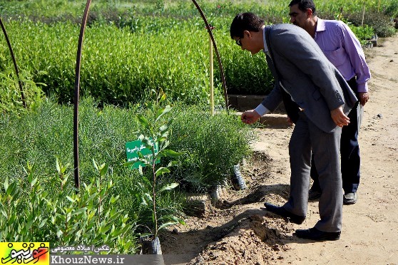 بازدید رییس و اعضای شورای شهر از نهالستان پارک شهروند اهواز