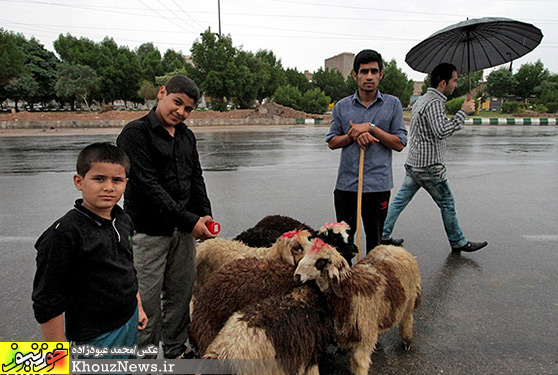  نذری و ذبح گوسفند در ظهر تاسوعا