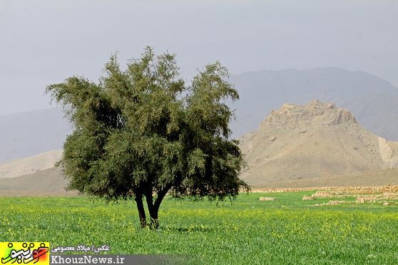 طبیعت و آبشارهای زیبای آرپناه در خوزستان