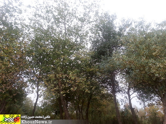 پارک ساحلي خارستان (خارسو) بهبهان و رودخانه مارون در يک پاييز ابري