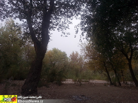 پارک ساحلي خارستان (خارسو) بهبهان و رودخانه مارون در يک پاييز ابري