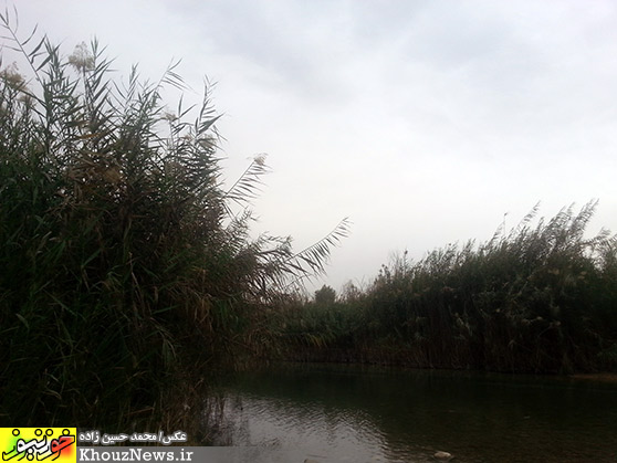 پارک ساحلي خارستان (خارسو) بهبهان و رودخانه مارون در يک پاييز ابري