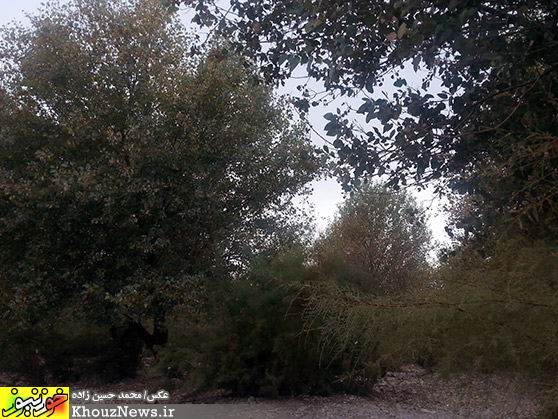 پارک ساحلي خارستان (خارسو) بهبهان و رودخانه مارون در يک پاييز ابري