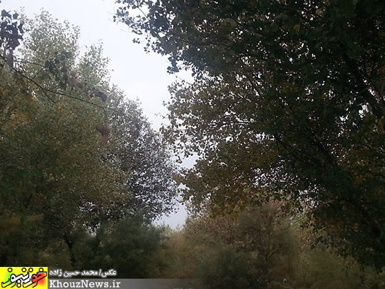 پارک ساحلي خارستان (خارسو) بهبهان و رودخانه مارون در يک پاييز ابري