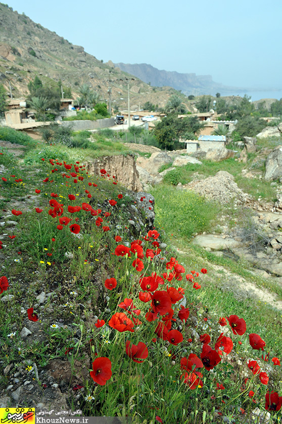 طبیعت بی مانند دریاچه سد دز و روستای زیبای پامنار دزفول در خوزستان
