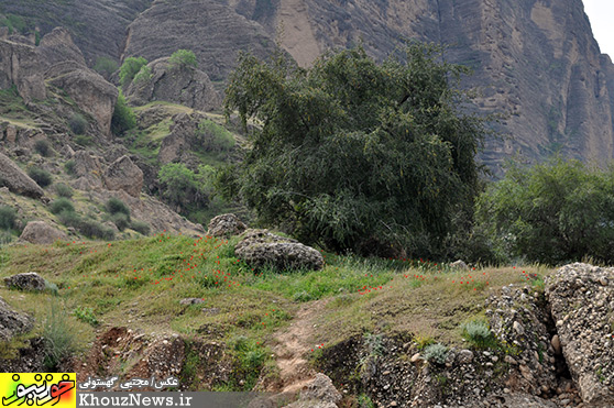 طبیعت بی مانند دریاچه سد دز و روستای زیبای پامنار دزفول در خوزستان