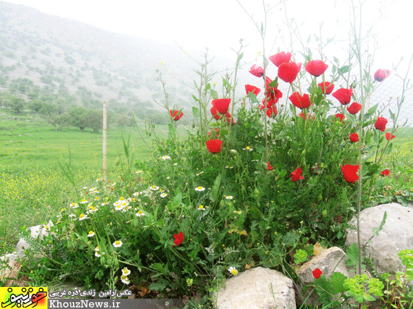 روستای زیبای چلویر در ایذه خوزستان