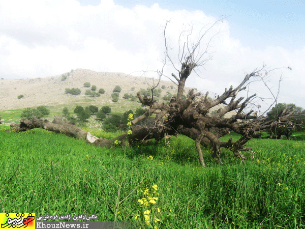 روستای زیبای چلویر در ایذه خوزستان