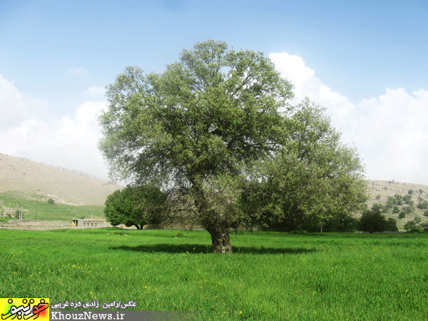 روستای زیبای چلویر در ایذه خوزستان