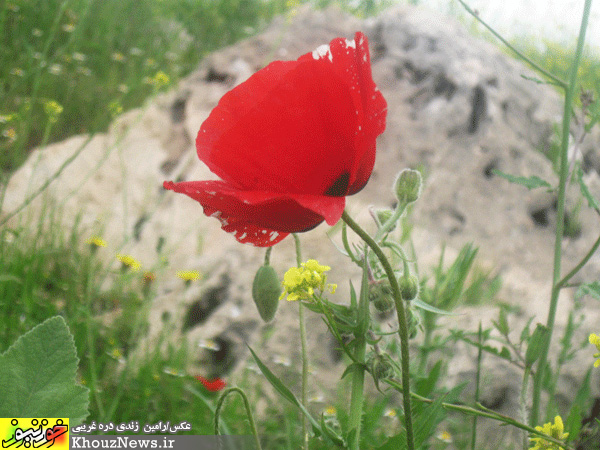 روستای زیبای چلویر در ایذه خوزستان