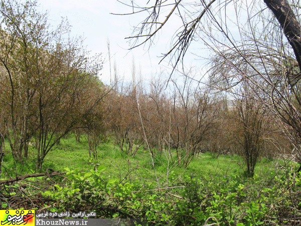 روستای شیوند در خوزستان