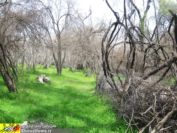 روستای شیوند در خوزستان