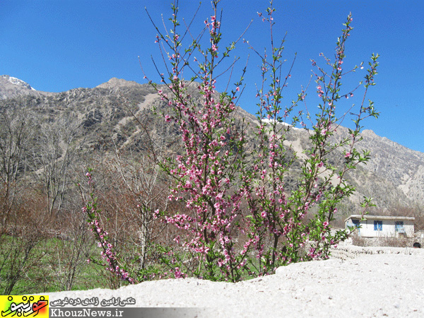 روستای شیوند در خوزستان