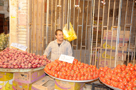 گشت و گذاری در شهر امیدیه