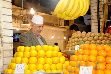 گشت و گذاری در شهر امیدیه