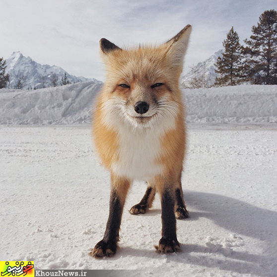 20 عکس برتر مسابقه عکاسی با آیفون 2014 / The 20 Most Beautiful iPhone Photos Of The Year