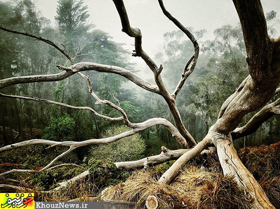 20 عکس برتر مسابقه عکاسی با آیفون 2014 / The 20 Most Beautiful iPhone Photos Of The Year