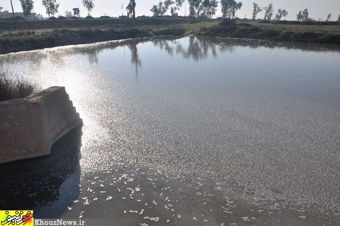 فاضلاب و پساب صنعتی شرکت کشت و صنعت کارون که به رودخانه کارون می ریزد