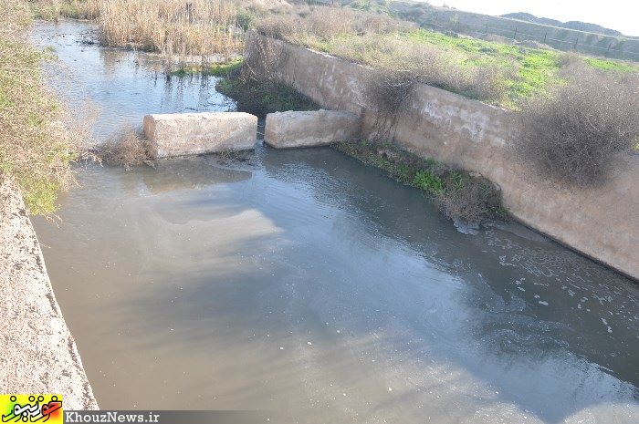 فاضلاب و پساب صنعتی شرکت کشت و صنعت کارون که به رودخانه کارون می ریزد