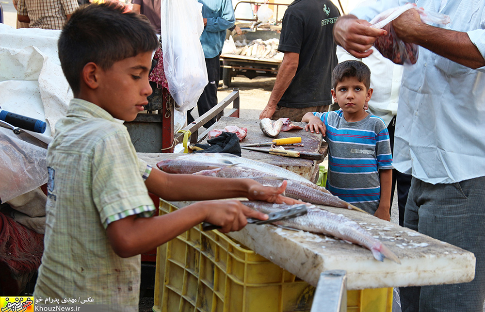میزان فلزات سمی در ماهی «شوریده» و «صبور» خوزستان بیش از حد مجاز است