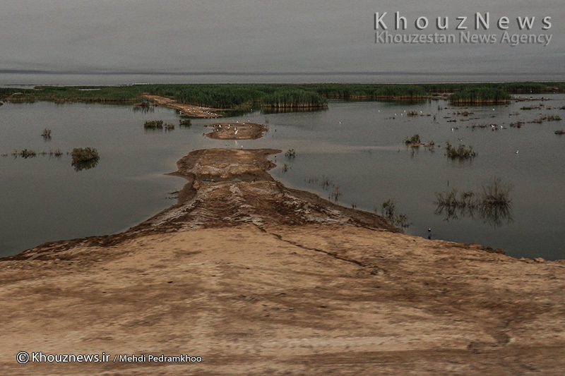 تنها امید مردم خوزستان در برابر ریزگردها در یک‌ قدمی نابودی