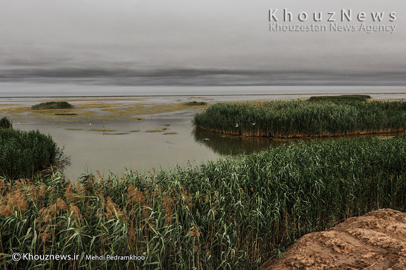 تامین آب برای تالاب های خوزستان با مشکلات بسیاری مواجه است