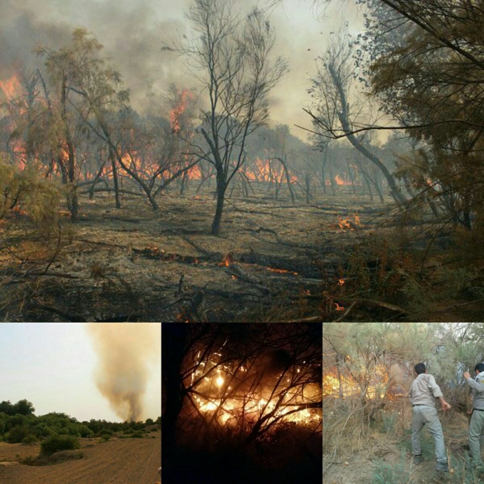 خسارت سنگین آتش در جنگل‌های کرخه/جنگل تخریب شد تا راه برای اطفای آتش باز شود