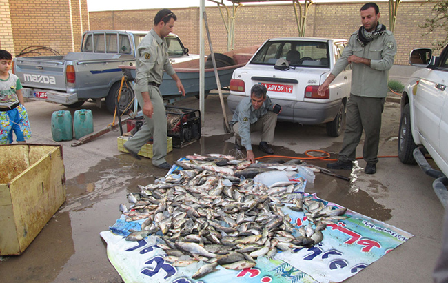 دستگیری متخلف صید ماهی به وسیله الکتروشوکر