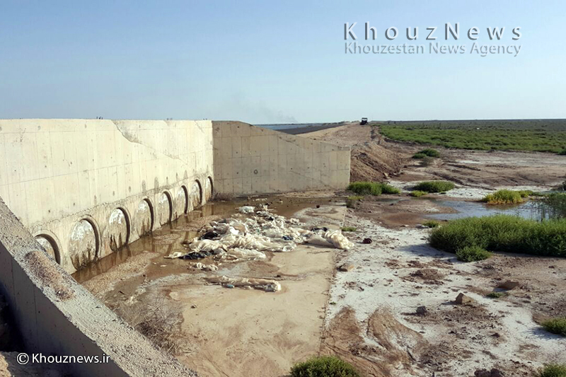 نماینده مردم ایذه: انتقاد از نبود مدیریت پسماند نفتی در خوزستان/ محیطزیست انگیزه ای برای حل مشکل هورالعظیم ندارد