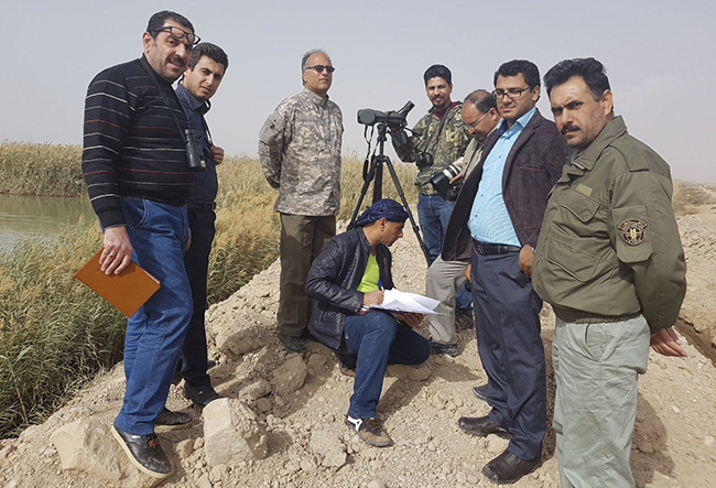 سرشماری پرندگان تالاب هورالعظیم با مشارکت کارشناسان ایرانی و عراقی