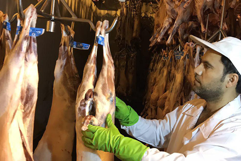 گوشتی که از کشتارگاه صنعتی دام اهواز خارج می‌شودکاملا سالم است/ به مردم گوشت مصرفی  خود را از مراکز مجاز خریداری کنند