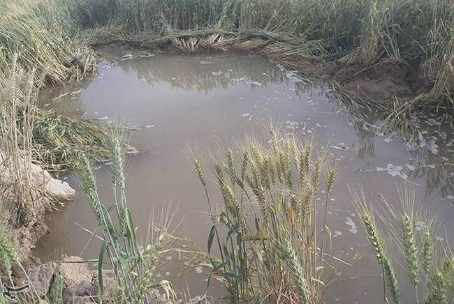 وضعیت نگران کننده آب شرب روستاهای بخش شاوور شوش