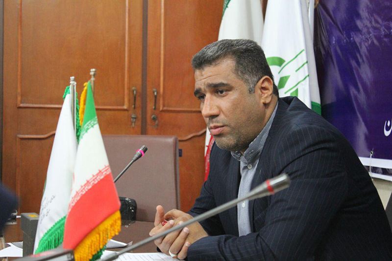 توسعه کشت کلزا موجب خودکفایی در تولید روغن می‌شود