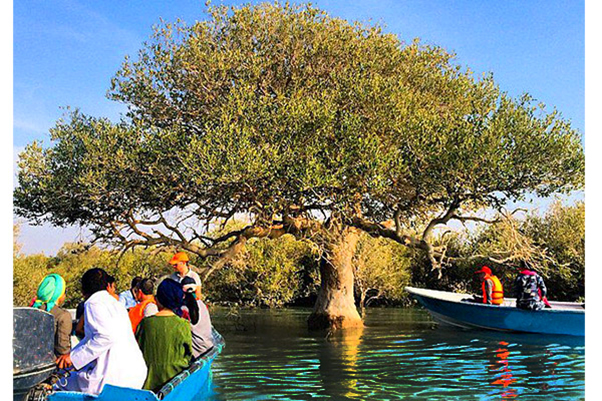 قشم اسرار آمیز ترین سفر داخلی قشم اسرار آمیز ترین سفر داخلی