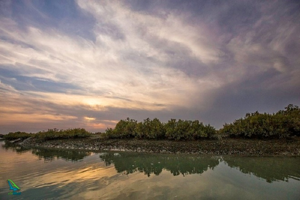 ژئوپارک قشم بار دیگر در خطر حذف از یونسکو ژئوپارک قشم بار دیگر در خطر حذف از یونسکو